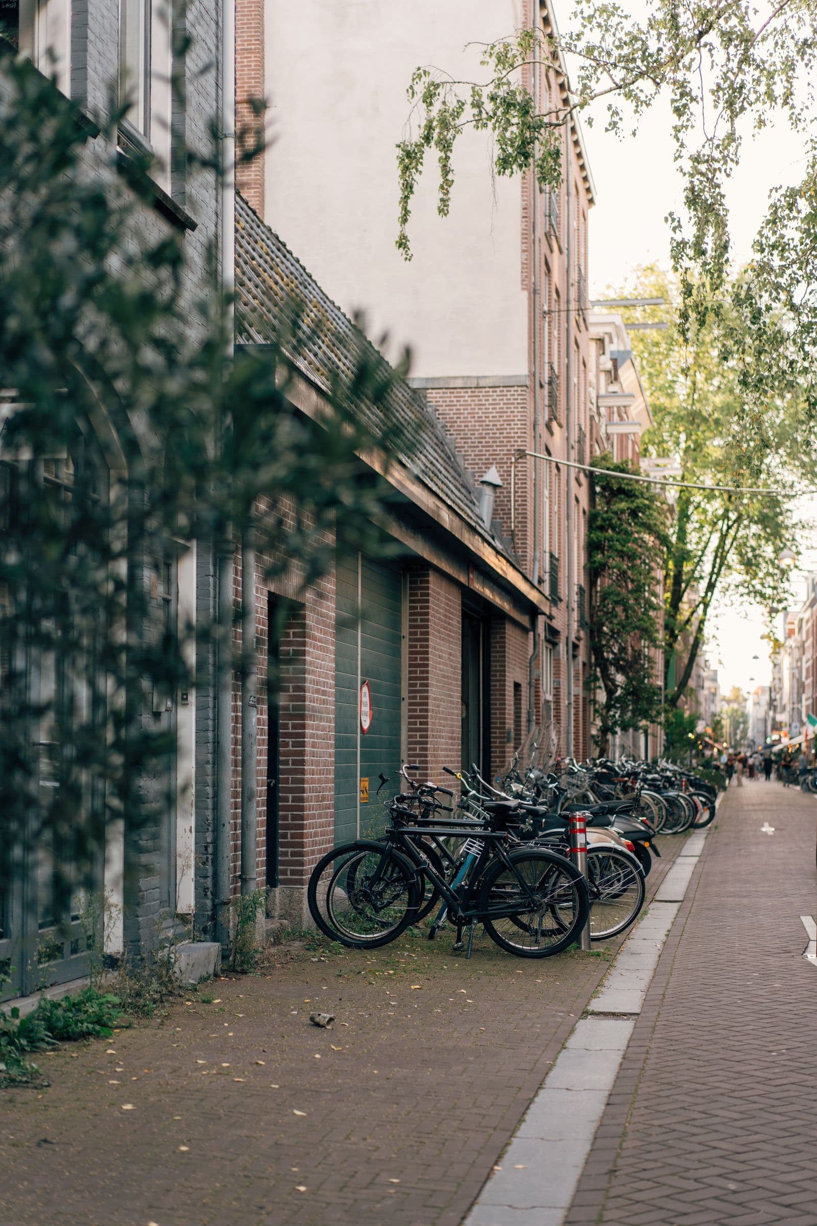 Geparkeerde fietsen in een groene stadsstraat